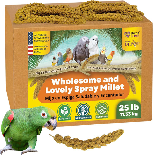 Birds LOVE Wholesome & Lovely Spray Millet | GMO Free (No Stems Only Edible Tops) for Parrots Birds Cockatiel Lovebird Parakeet Finch Canary All Parrots Healthy Treat -25lbs