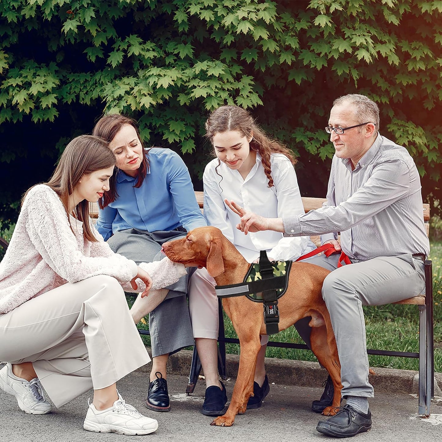 Dogline Dog Harness, Reflective No-Pull Adjustable Vest with Handle for Walking, Training, Breathable, No - Choke Harness for Small, Medium or Large Dogs Room for Patches Girth 18 to 24 in Green Camo