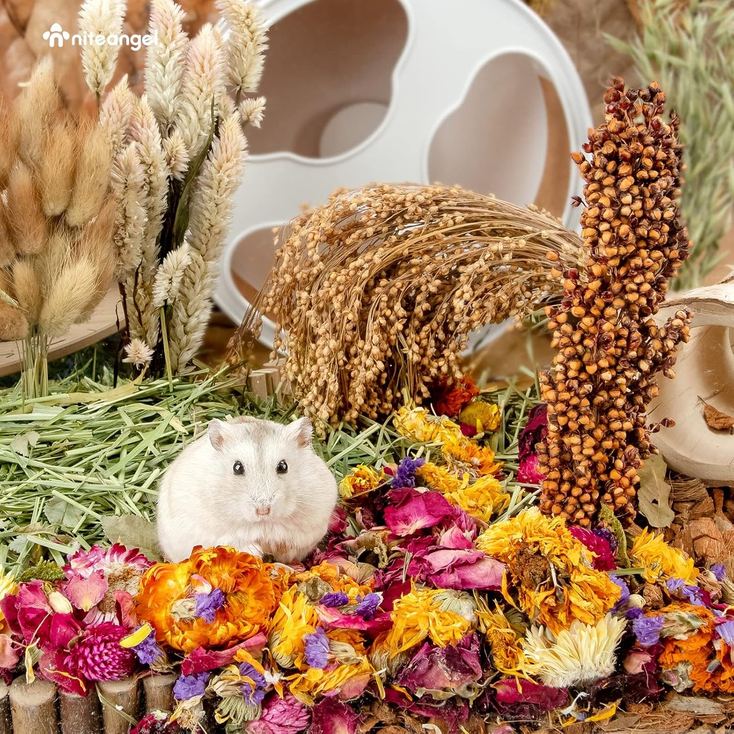 Niteangel Natural & Soft Hamster Bedding Mate Small Animal Habitat Decor for Syrian Dwarf Hamsters Gerbils Mice Degus Bunny or Other Small-Sized Pet (Flowers Scent Path)