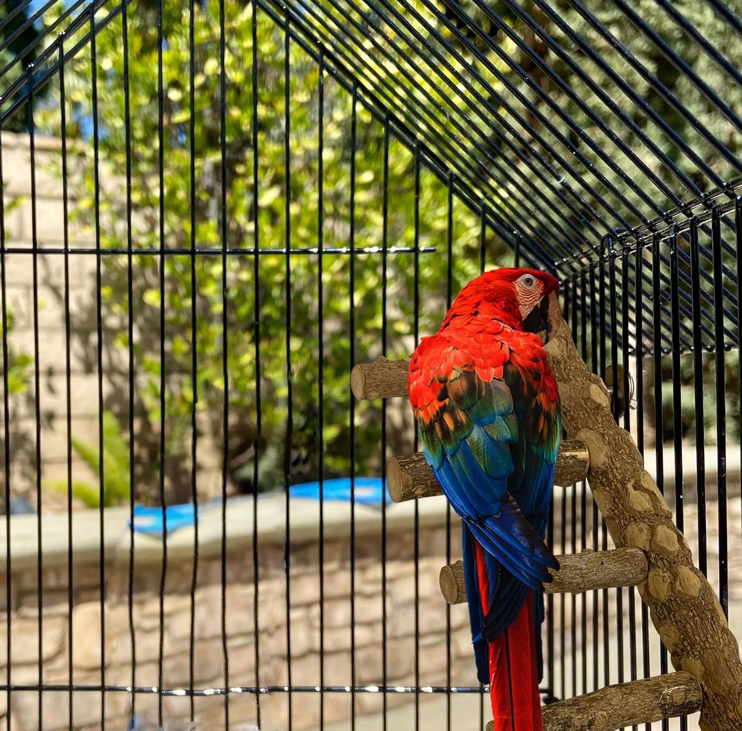 SIMENA Bird Ladder Perch, Natural Wood Parrot Stand, Hamster Climbing Toy, Bird Cage Ladder for Small and Medium Birds, Parakeet, Cockatiel, Conures, Lovebirds, Budgie