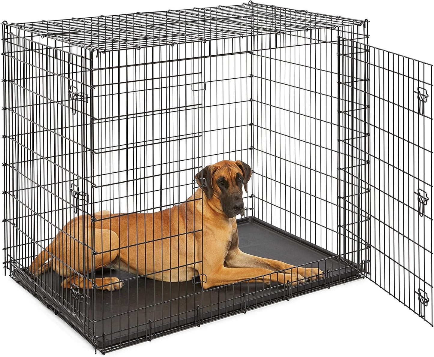 MidWest Homes for Pets Solutions Series XXL Double Door 54-Inch Dog Crate for the Largest Breeds, Sturdy Drop Pin Assembly, Black E-Coated, SL54DD