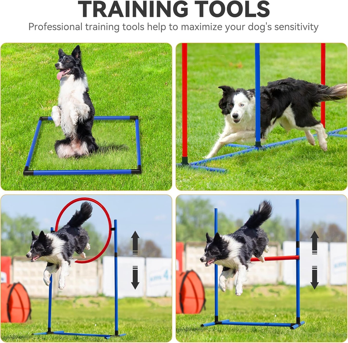 YITAHOME Dog Agility Training Equipment Set with Flexible Tunnel, Hurdle, Jump Ring, 6 Weave Poles, Pause Platform, Teaser Pole, 3 Flying Discs, and Carry Bags for Indoors Outdoors, Orange/Blue