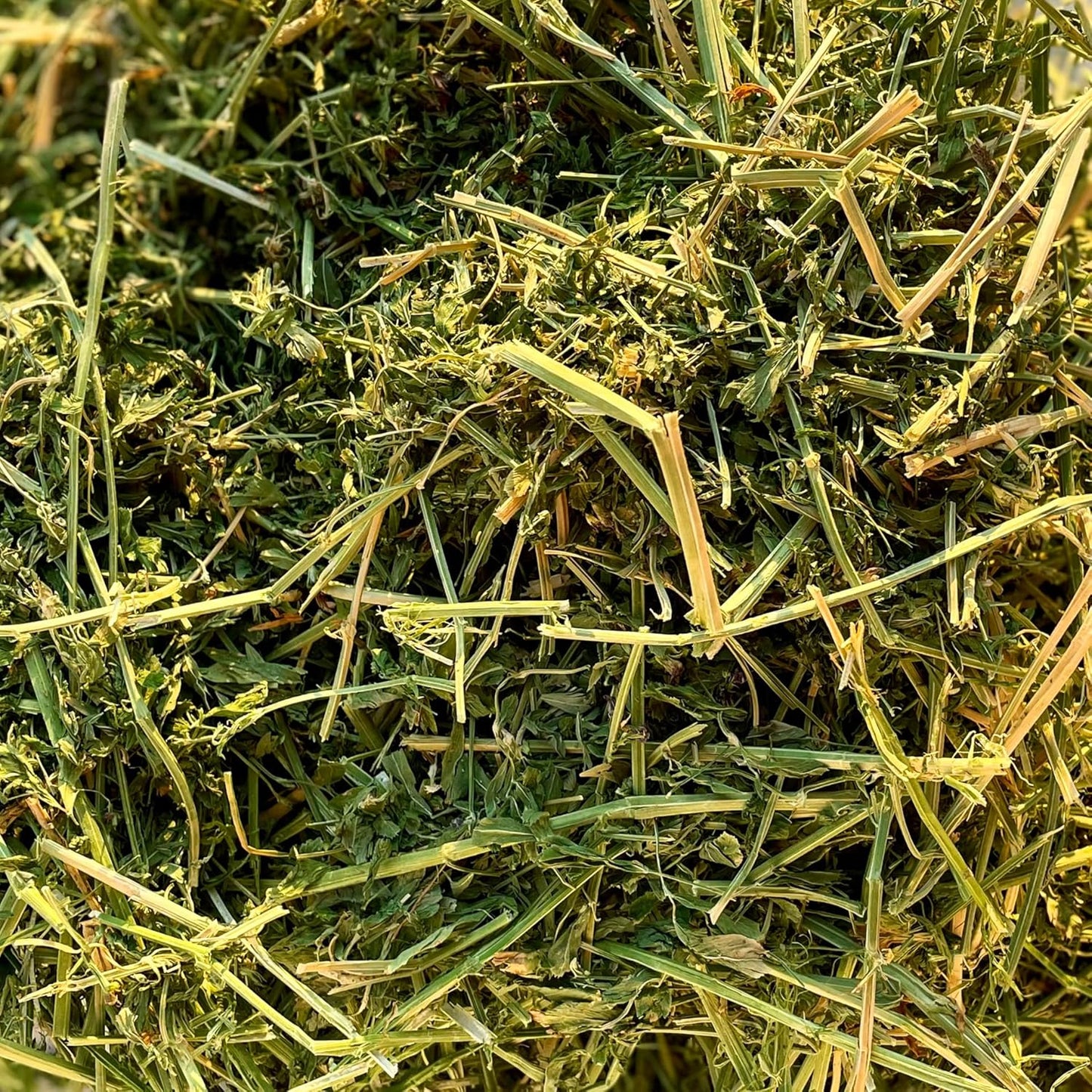 Blue Mountain Hay High-Altitude Hay - Organic Alfalfa, 5lb - High Protein, Fiber & Mineral-Rich - Soft, Leafy, High Leaf Retention - Ideal for Goats, Rabbits, Guinea Pigs & Other Small Animals