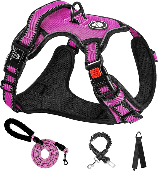 NESTROAD No Pull Dog Harness,Adjustable Oxford Dog Vest Harness with Leash,Reflective No-Choke Pet Harness with Easy Control Soft Handle for Small Medium Dogs(Medium,Fuchsia Pink)