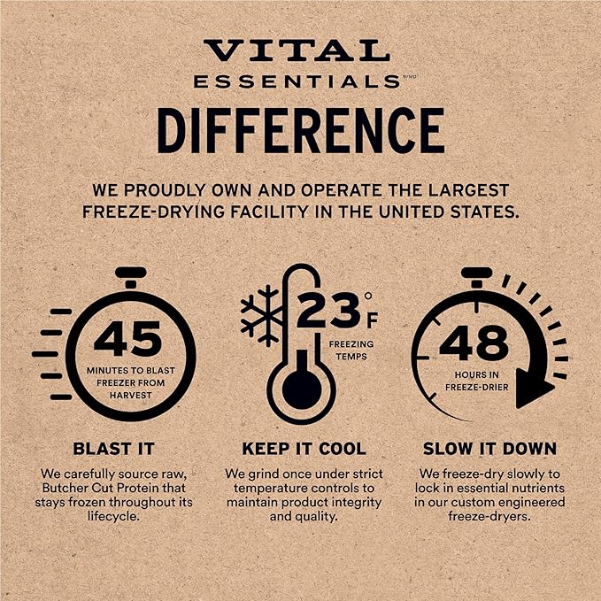 Vital Essentials Freeze-Dried Raw Beef Crunchy Mini Nibs | Complete Meal or Mixer Dog Food | 3 lbs Big Bag