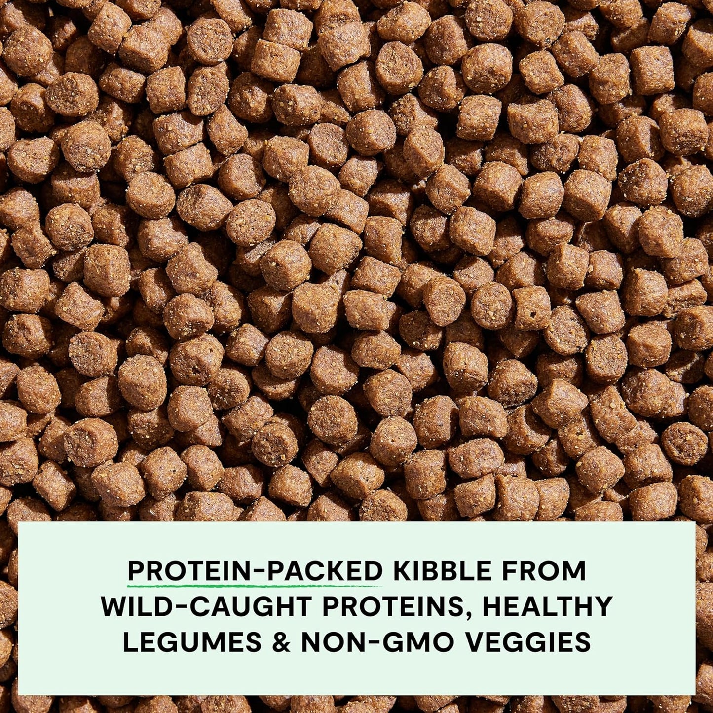 Open Farm, Grain-Free Dry Dog Food, Complete & Balanced Kibble, Sustainably & Ethically Sourced Ingredients, Non-GMO Veggies & Superfoods, Catch-of-The-Season Whitefish Recipe, 4lb Bag