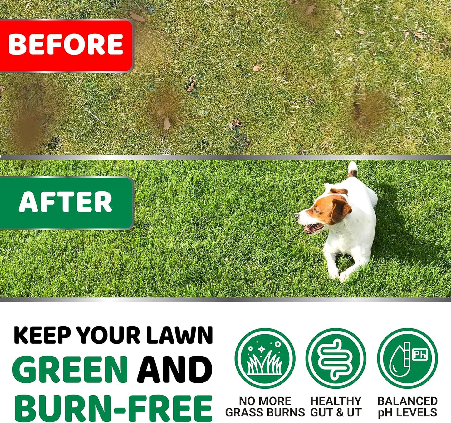 YUMA'S Dog Urine Neutralizer for Lawn - 170 Chews - Advanced Grass Green Savers for Dog Urine - Canine Pee Grass Neutralizer Supplement - Green Lawn Treats with Probiotics and Digestive Enzymes